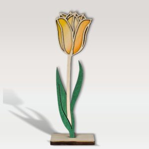 lesen tulipan oranzen 1