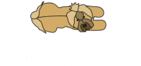 Lasika logotip